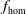f Subscript normal h normal o normal m