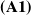 bold left parenthesis upper A 1 right parenthesis