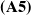 bold left parenthesis upper A 5 right parenthesis
