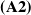 bold left parenthesis upper A 2 right parenthesis