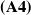 bold left parenthesis upper A 4 right parenthesis