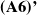 bold left parenthesis upper A 6 right parenthesis prime