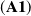 left parenthesis bold upper A 1 right parenthesis