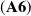 left parenthesis bold upper A 6 right parenthesis