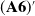 left parenthesis bold upper A 6 right parenthesis prime
