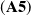 left parenthesis bold upper A 5 right parenthesis