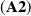 left parenthesis bold upper A 2 right parenthesis