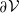 partial differential script upper V