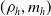 left parenthesis rho Subscript h Baseline comma m Subscript h Baseline right parenthesis
