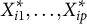 upper X Subscript i Baseline 1 Superscript asterisk Baseline comma midline horizontal ellipsis comma upper X Subscript i p Superscript asterisk