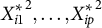 upper X Subscript i Baseline 1 Superscript asterisk Baseline squared comma midline horizontal ellipsis comma upper X Subscript i p Superscript asterisk Baseline squared