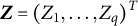 upper Z equals left parenthesis upper Z 1 comma midline horizontal ellipsis comma upper Z Subscript q Baseline right parenthesis Superscript upper T
