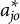 a Subscript j o Superscript asterisk