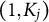 left parenthesis 1 comma upper K Subscript j Baseline right parenthesis