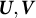 upper U comma upper V