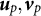 u Subscript p Baseline comma v Subscript p Baseline