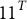 1 1 Superscript upper T
