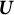 upper U
