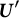 upper U prime