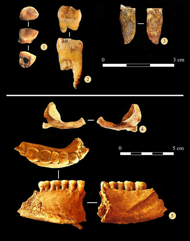 Figure 4