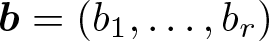dollar sign b equals left parenthesis b 1 comma ellipsis comma br right parenthesis dollar sign