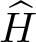 dollar sign upper H caret dollar sign