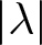 dollar sign vertical bar lamda vertical bar dollar sign