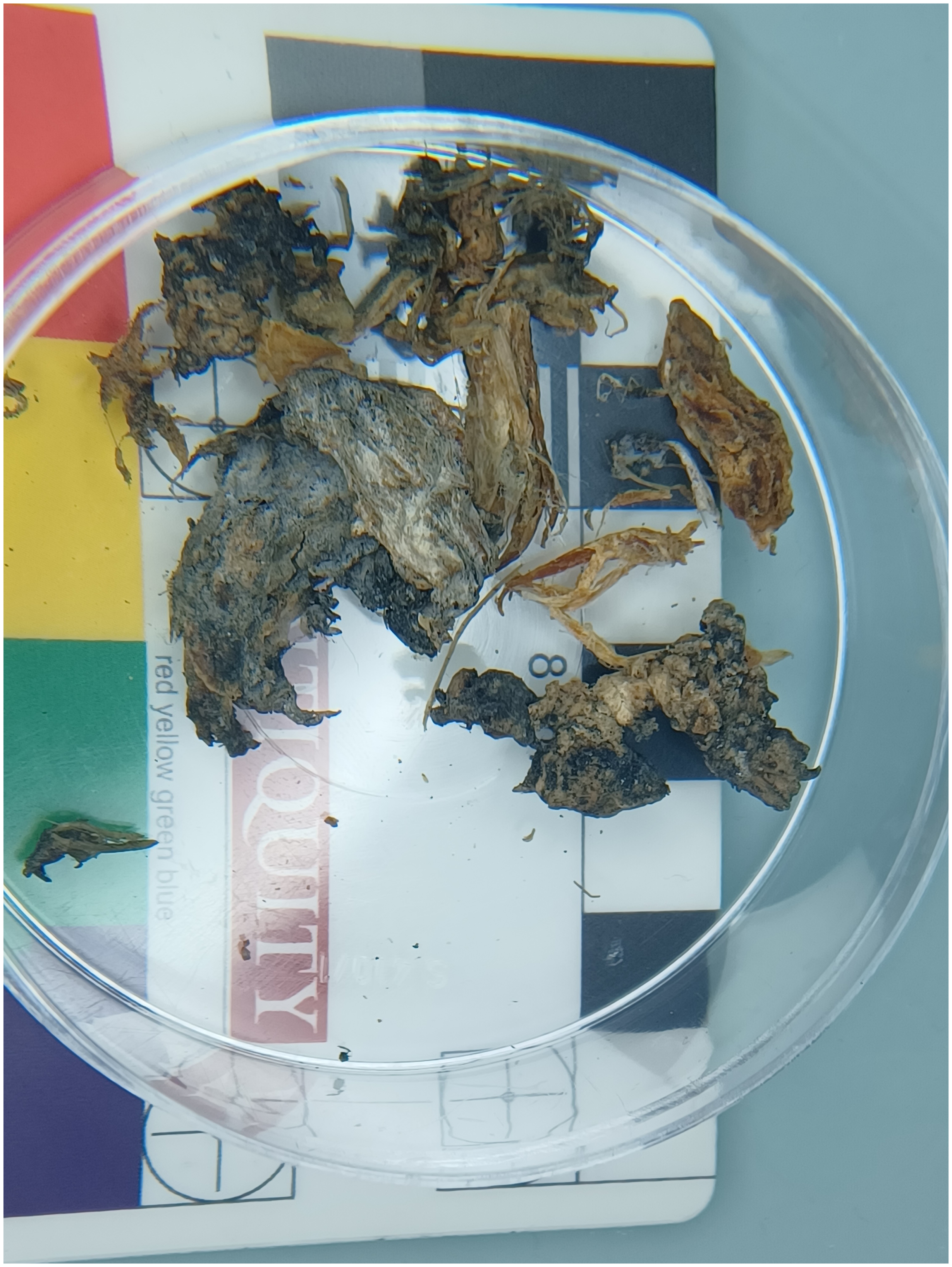 Figure 0