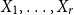 upper X 1 comma ellipsis comma upper X Subscript r Baseline