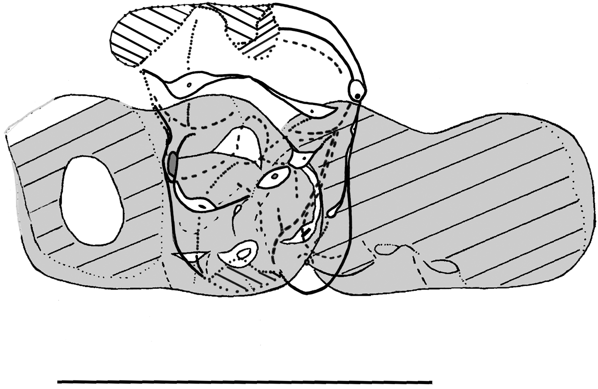 Figure 15