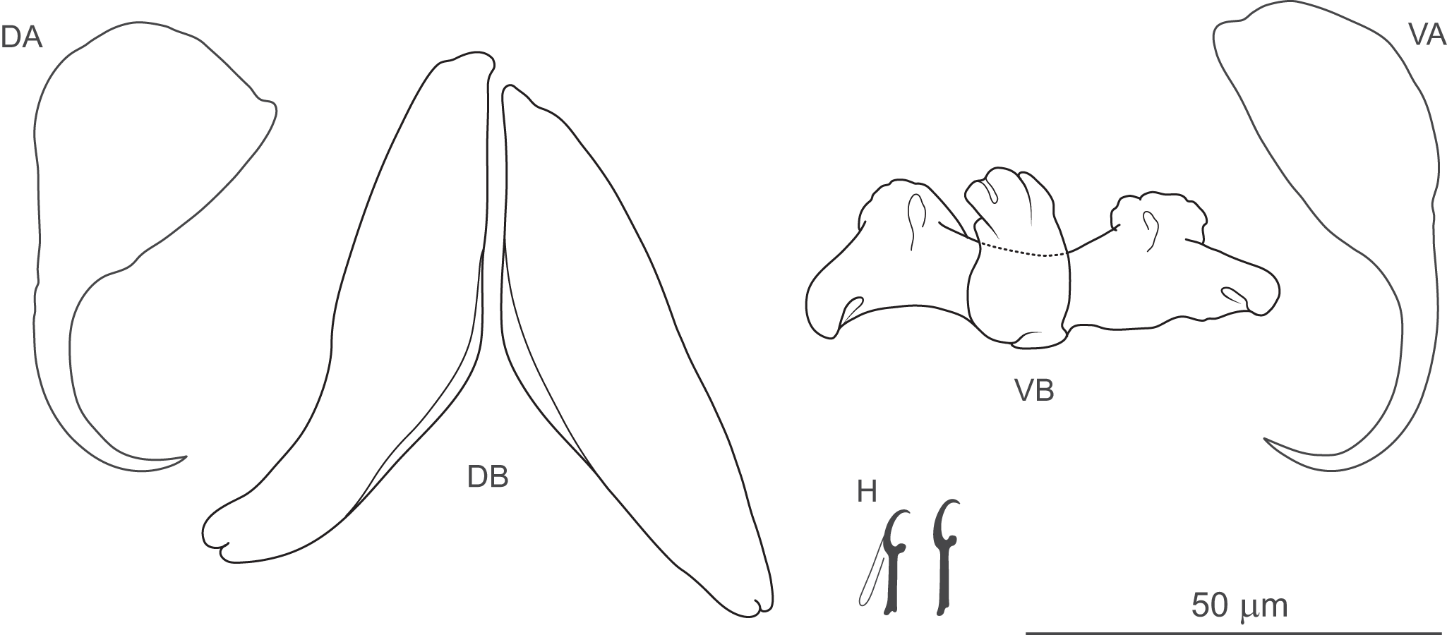 Figure 18