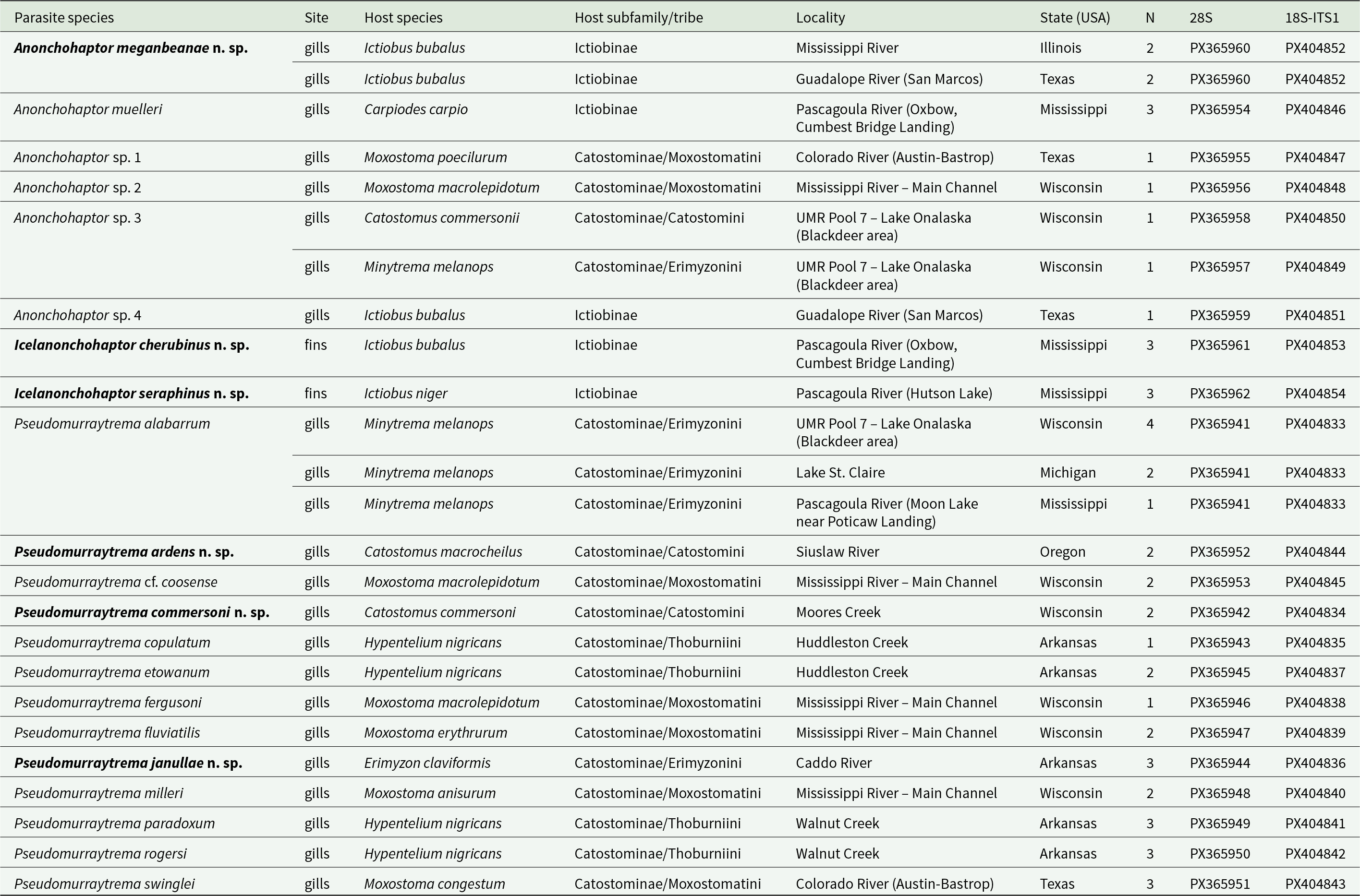 Lists 22 parasite–catostomid host records across 7 U.S. states, mostly gill infections, with specimen counts (N=1–4) and matching 28S and 18S–ITS1 GenBank accessions per record. See long description.