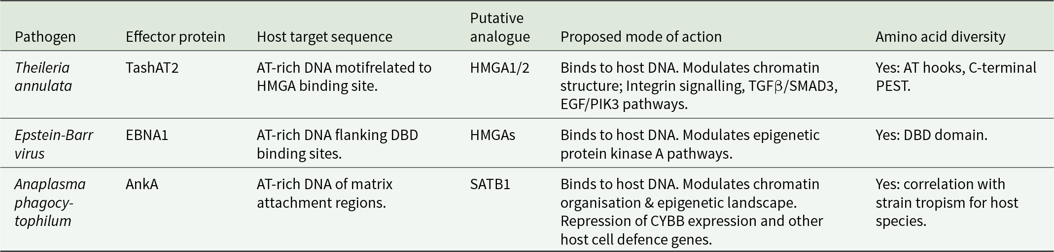 Three pathogen effectors bind AT-rich host DNA, mimicking HMGA/SATB1 to reshape chromatin and signaling; amino-acid variation tracks domains or tropism. See long description.