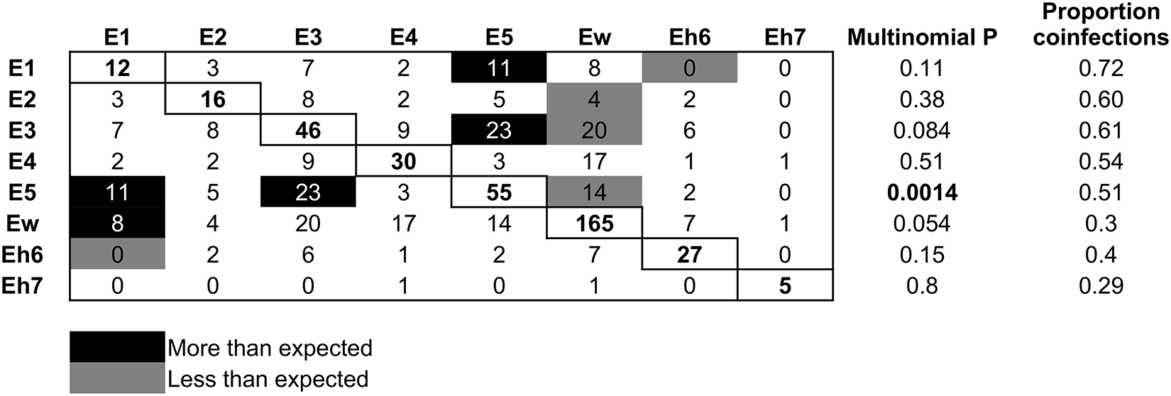 A table showing coinfection counts between species, with significance and proportion of coinfections. See long description.