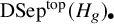 backslash text upper D upper S e p Superscript t o p Baseline left parenthesis upper H Subscript g Baseline right parenthesis Subscript bullet