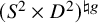 left parenthesis upper S squared times upper D squared right parenthesis Superscript ♮ g