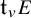 t Subscript v Baseline upper E