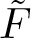 dollar sign upper F tilde dollar sign
