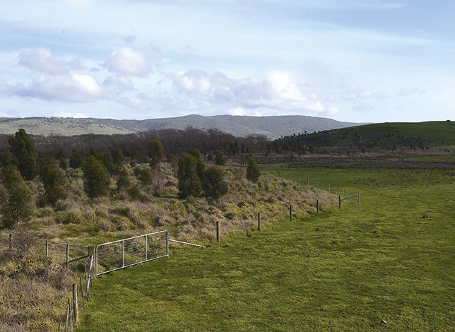An area fenced off from farmland to allow for native vegetation to regenerate. This image, from Tasmania, shows how conservation covenants can be used to protect ecosystem restoration.