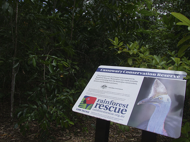 A sign publicising an area undergoing ecosystem restoration in the Daintree Rainforest of north Queensland, owned by a private group called Rainforest Rescue.