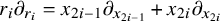 r Subscript i Baseline partial differential Subscript r Sub Subscript i Baseline equals x Subscript 2 i minus 1 Baseline partial differential Subscript x Sub Subscript 2 i minus 1 Baseline plus x Subscript 2 i partial differential Subscript x Sub Subscript 2 i Baseline