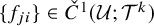 StartSet f Subscript j i Baseline EndSet element of check upper C Superscript 1 Baseline left parenthesis script upper U semicolon upper T Superscript k Baseline right parenthesis