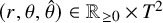 left parenthesis r comma theta comma ModifyingAbove theta With caret right parenthesis element of upper R Subscript greater than or equals 0 Baseline times upper T squared