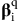 bold italic beta Subscript normal i Superscript normal q