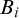 upper B Subscript i