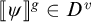 Double bracket open Psi double bracket close superscript g belongs to D superscript v.