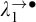 lamda 1 Superscript right arrow bullet