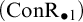 left parenthesis upper C o n upper R Subscript bullet 1 Baseline right parenthesis