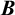 upper B