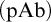 left parenthesis p upper A b right parenthesis
